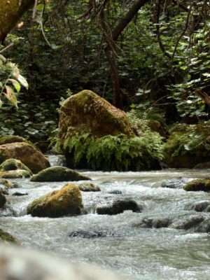 Séjour immersion dans l'Aude