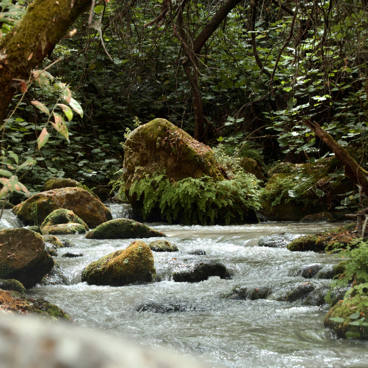 Séjour immersion dans l'Aude