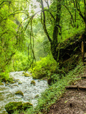 Vivez un séjour Immersion Transformatrice au cœur de l'Aude (11)